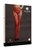 Пикантные чулки Suspender Rhinestone Pantyhose, цвет красный, S-L - Shots Media