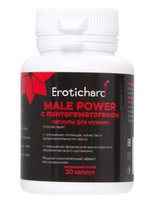 Капсулы для мужчин Erotichard male power с пантогематогеном - 20 капсул (0,370 гр.) - Erotic Hard