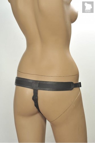 Чёрные трусики для фиксации насадок кольцом Kanikule Leather Strap-on Harness Anatomic Thong - Kanikule