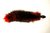 Анальная пробка с лисьим хвостом, 3.2 см, цвет красный - Wild Lust