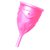 Менструальная чаша Eve Talla, размер L, цвет розовый - Adrien Lastic